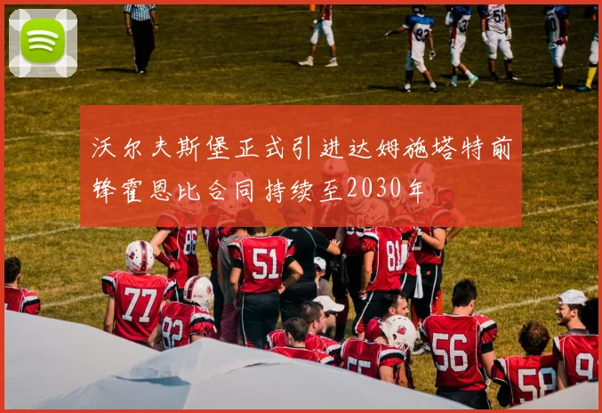沃尔夫斯堡正式引进达姆施塔特前锋霍恩比合同持续至2030年